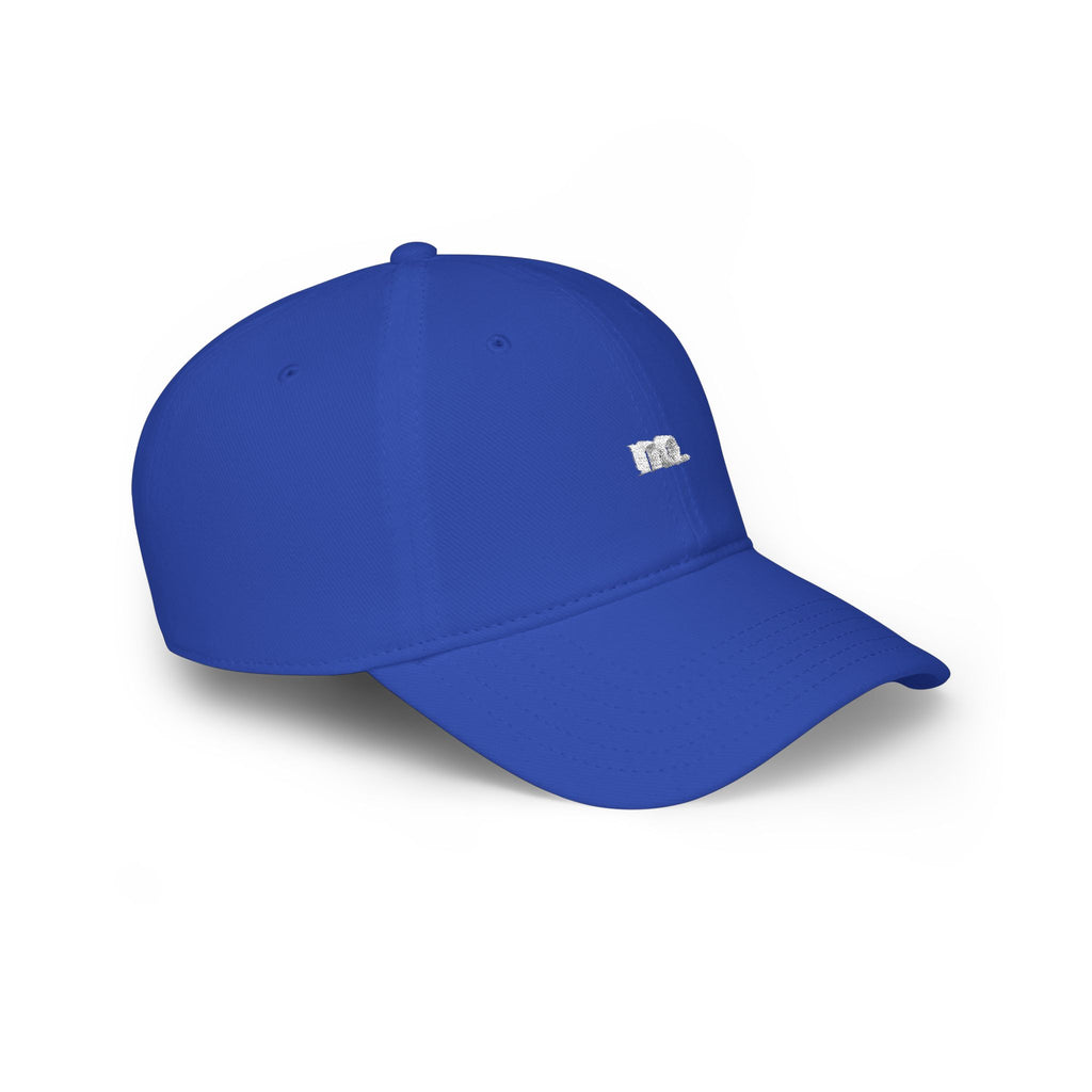no. — Emotional Support Hat