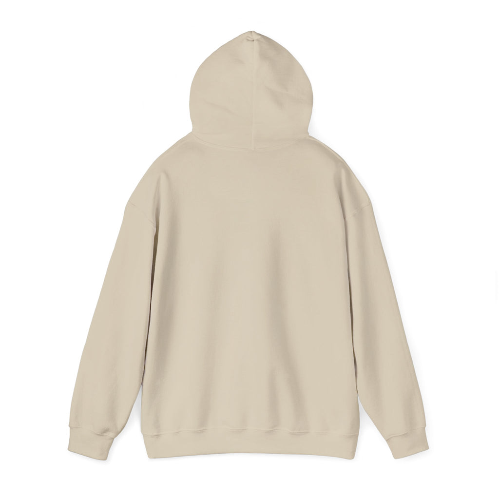 I Came. I Saw. I Left Early. — Hoodie